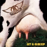 Aerosmith ‎– Get A Grip [2хLP] Import