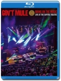 Gov't Mule - Bring on the Music Live at the Capitol Theatre [Blu-Ray] Import