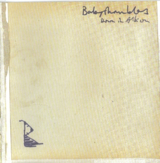 Babyshambles ‎/ Down In Albion [CD] Import