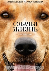 Собачья жизнь [DVD]