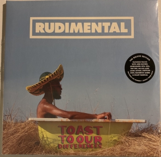 Rudimental ‎– Toast To Our Differences [2LP] Import