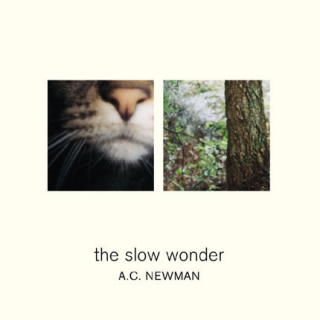 A.C. Newman ‎– The Slow Wonder [CD] Import