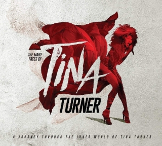 Various ‎– The Many Faces Of Tina Turner [3CD] Import